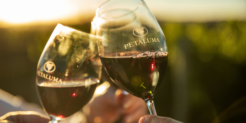 Petaluma Wines Cellar Door