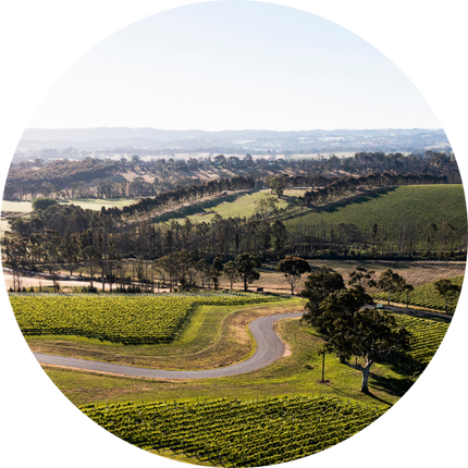 Petaluma Wines Adelaide Hills Vineyards